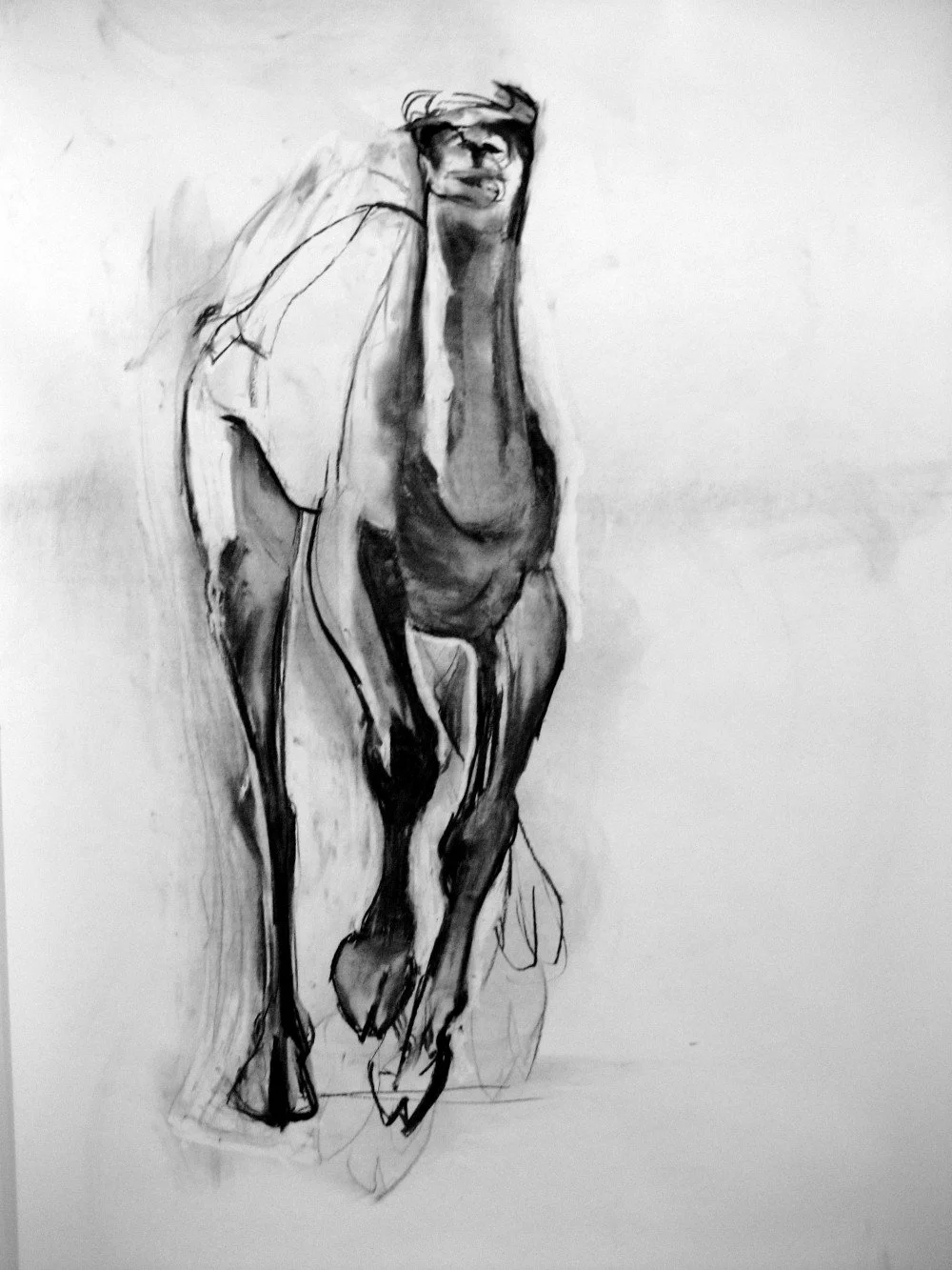 camel, 2014, Charcoal on paper