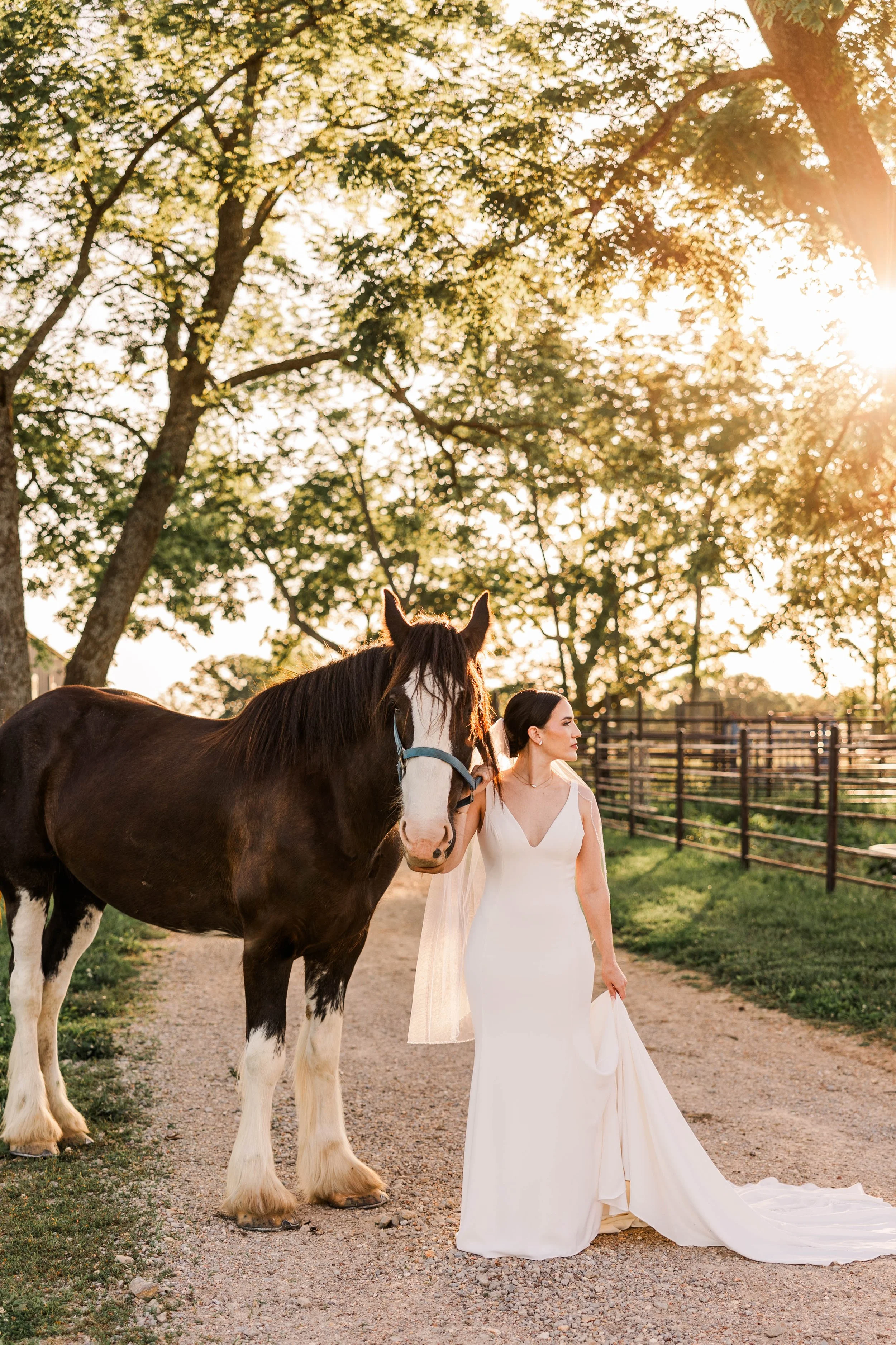 bride with horse