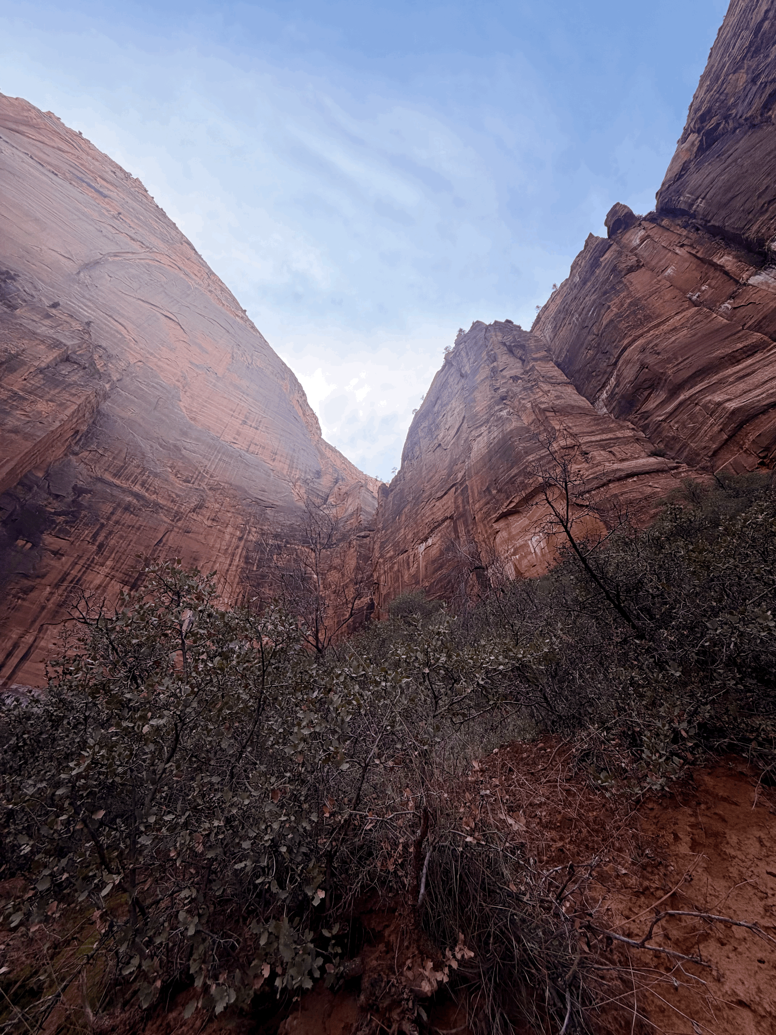 Your Breath Is Telling on You