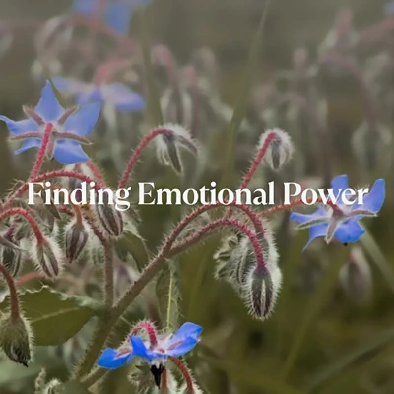 Finding Emotional Power