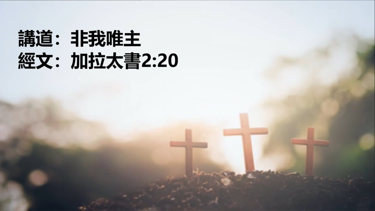 非我唯主