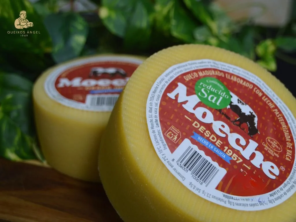 Queso Moeche