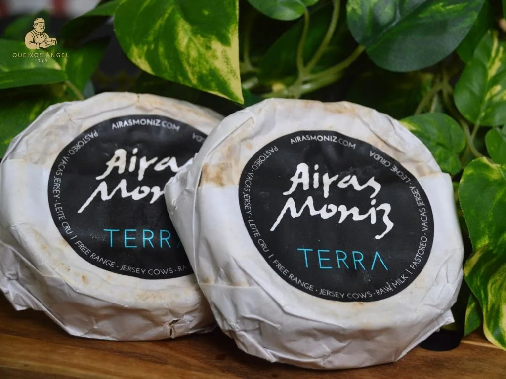 Terra (Airas Moniz)