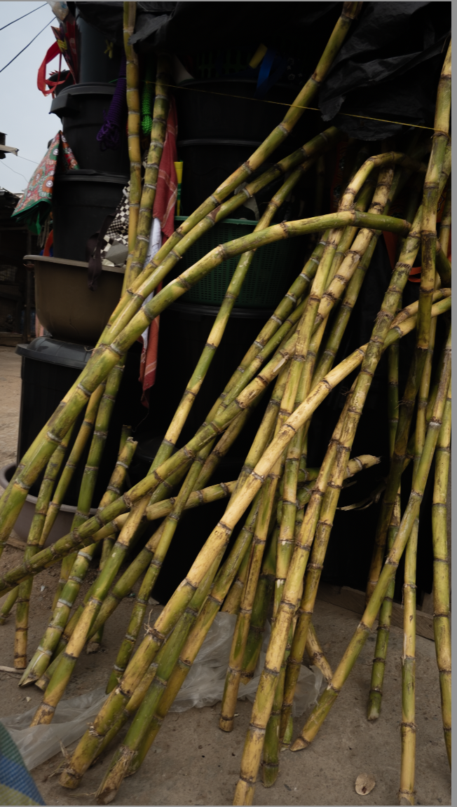 Screenshot 2025-04-23 at 7.53.06 AM.png