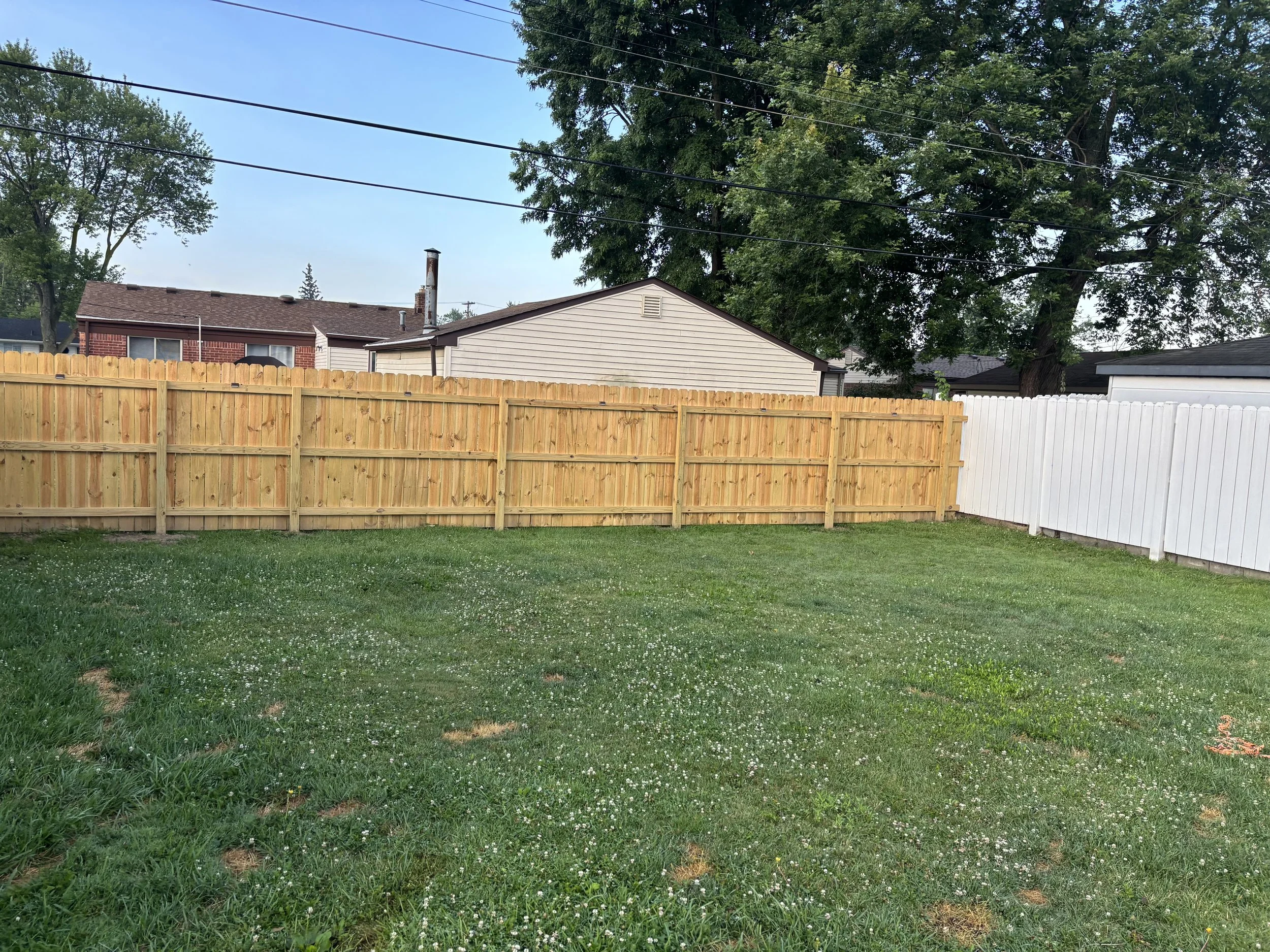 A backyard with green grass and a wooden fence, with trees and houses in the background under a clear blue sky.