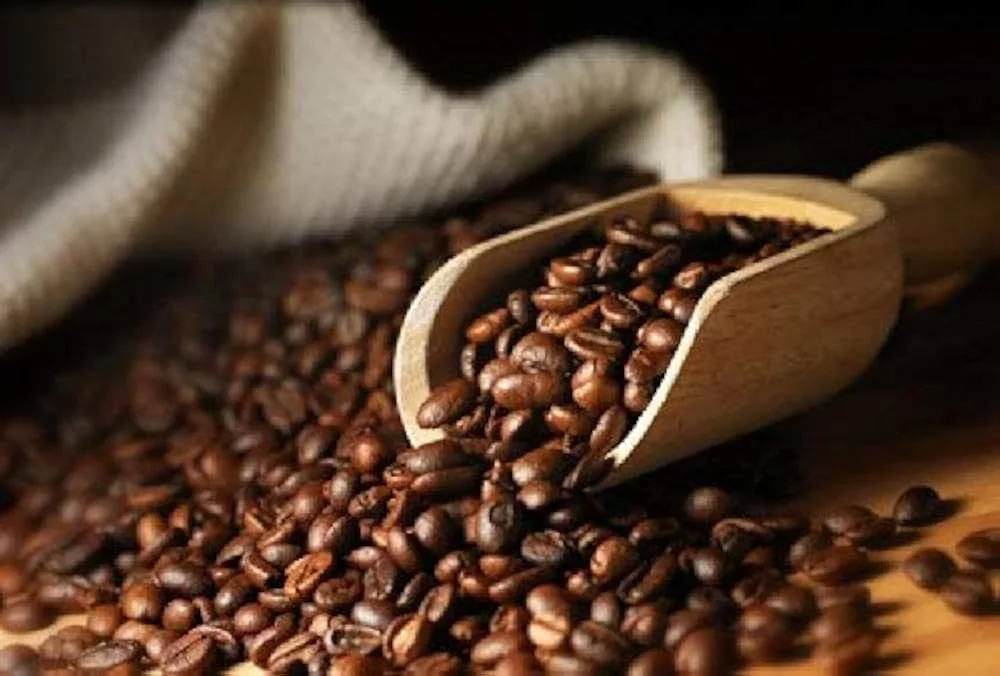 Why Fresh Coffee from Field & Fire Coffee Company Beats Grocery Store Brands Every Time