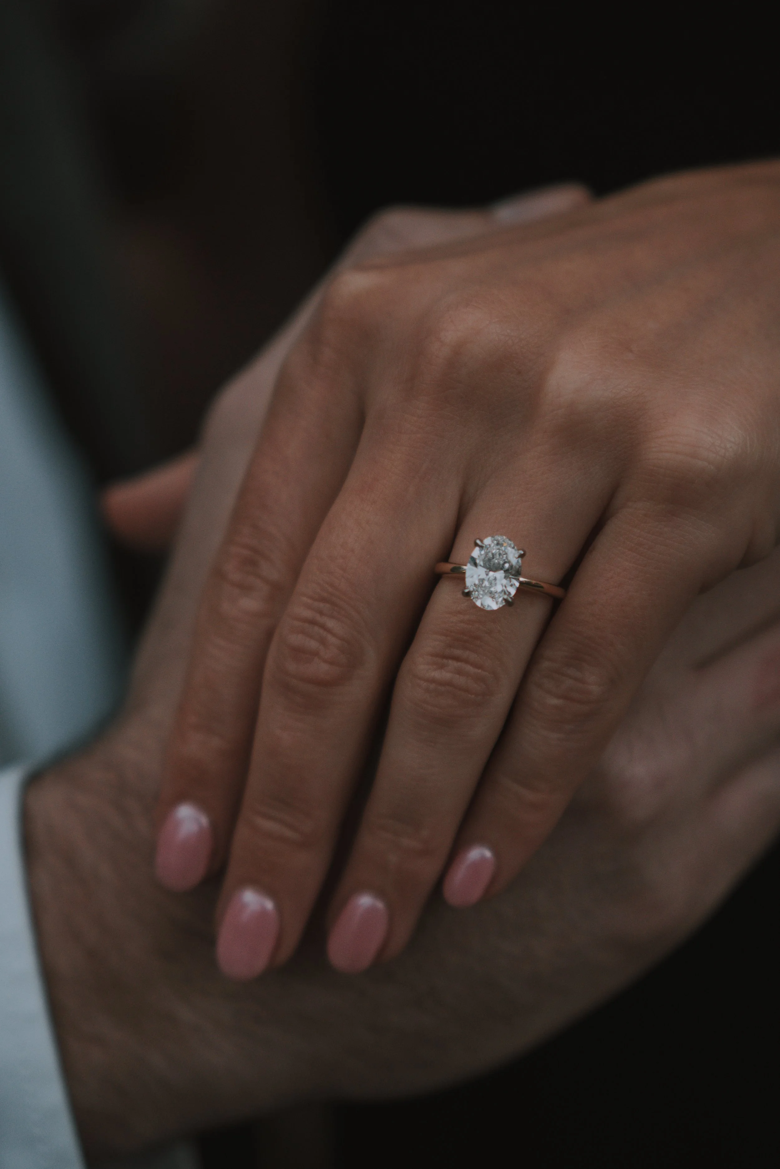 bailey4 (1 of 1).jpg