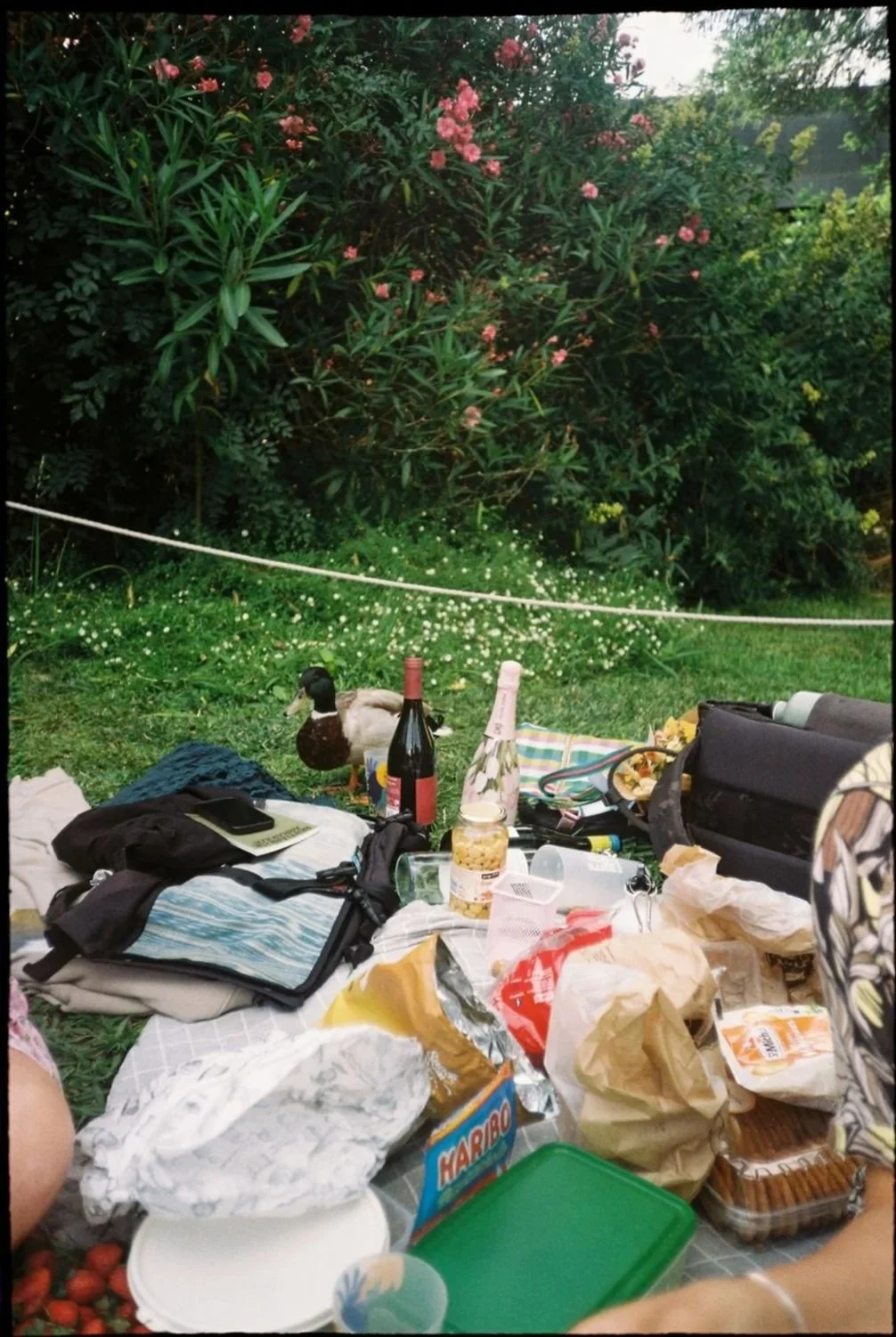 WhatsApp Image 2025-07-28 at 20.22.16.jpg