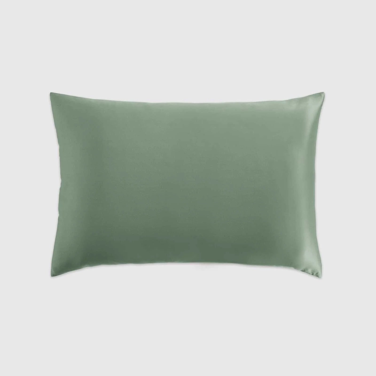 (101) Silk Pillowcase