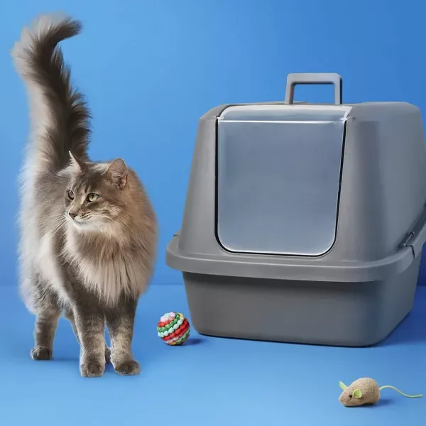(80) Cat Litter Box