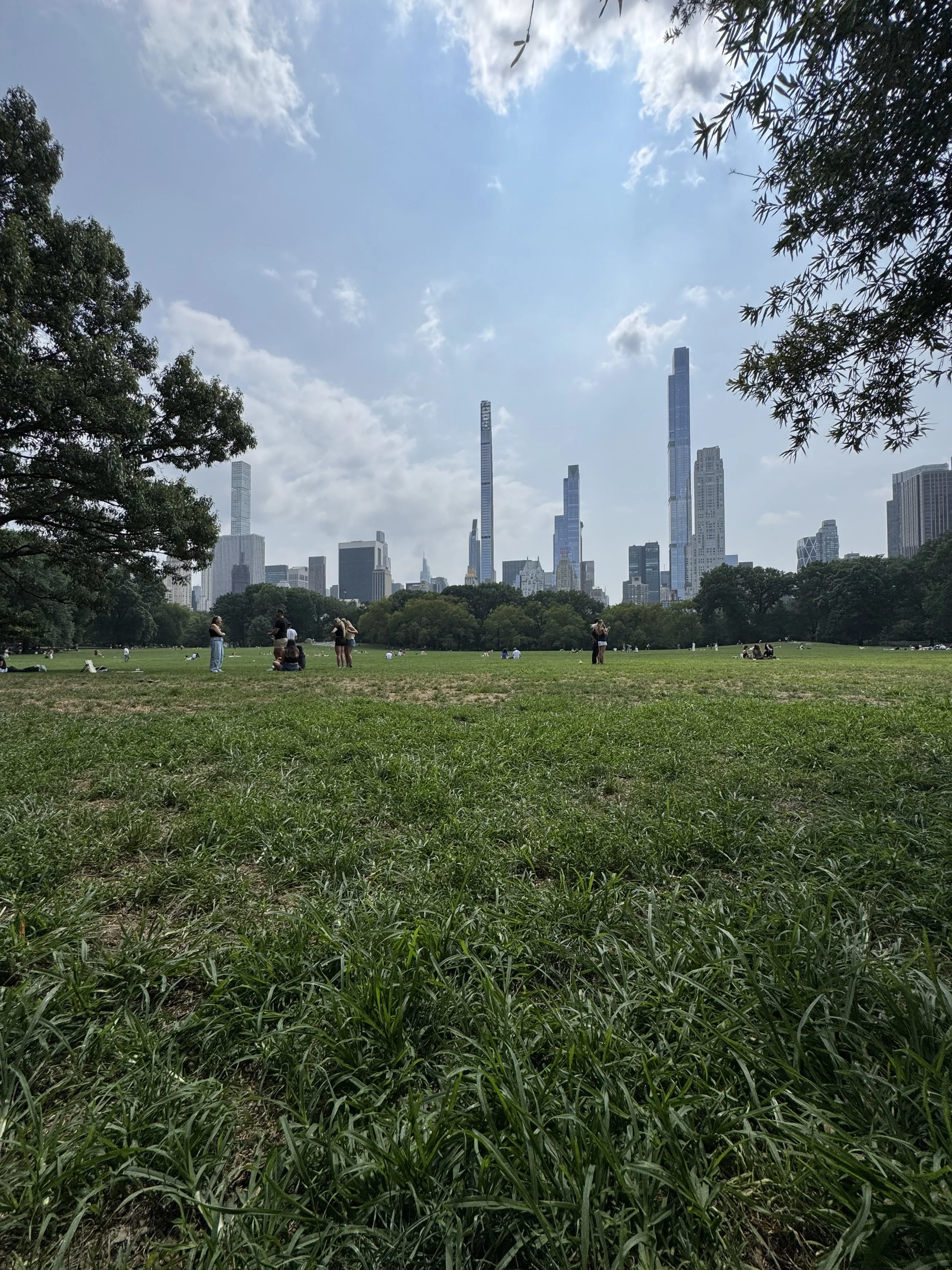 i got high in central park