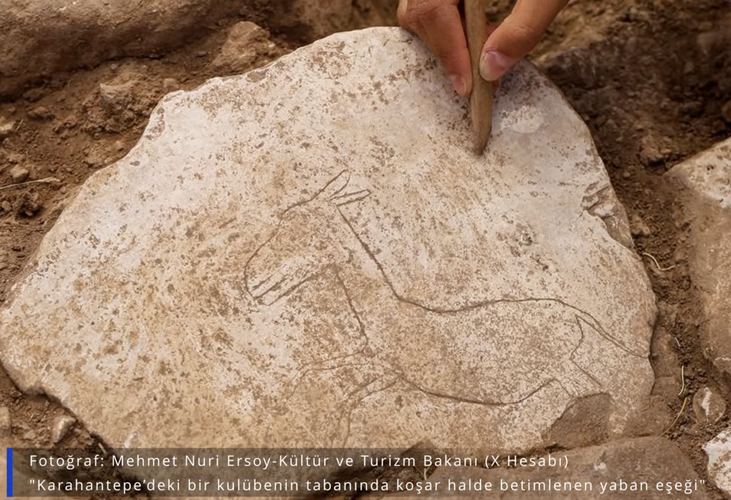 Screenshot 2026-02-17 at 12.35.36 PM.png