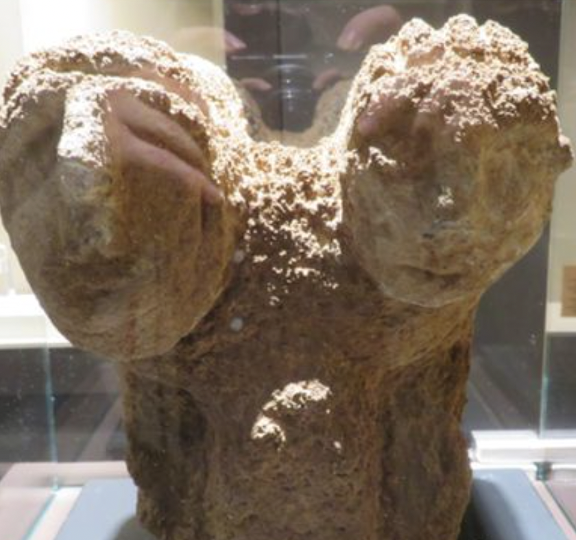 Screenshot 2026-02-17 at 2.15.42 PM.png