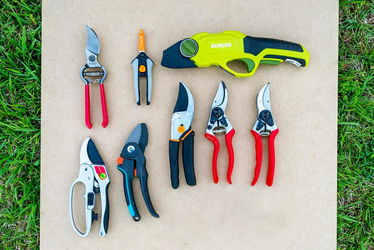 Tools for Fall Pruning: Hand Pruners vs. Loppers vs. Saws