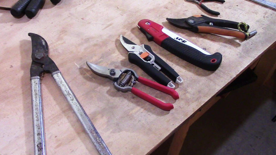 Top Tools for Late Winter Pruning: What Every Gardener Needs