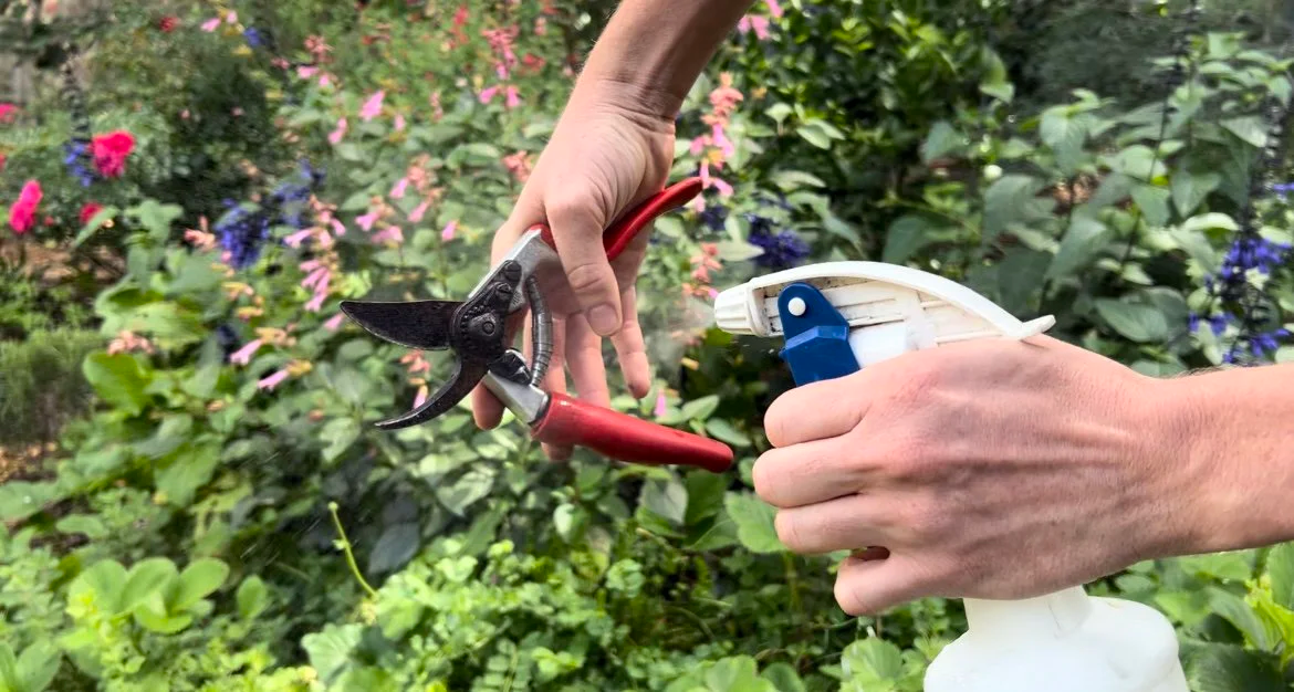 Spring Safety: Sanitizing Tools to Prevent Disease Spread