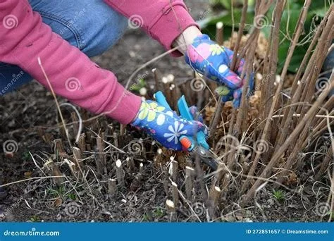 April Pruning Guide: Kickstarting the Growing Season
