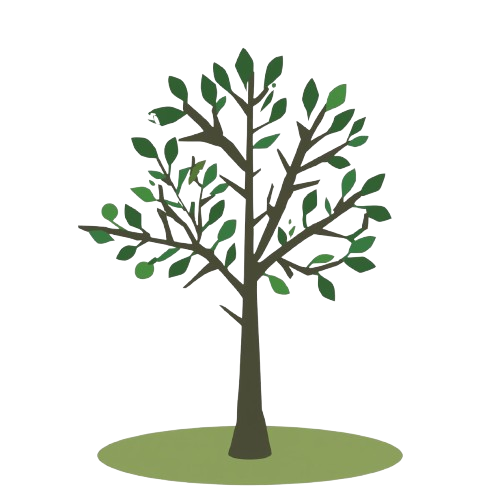 Our Pruning service for ornamental trees