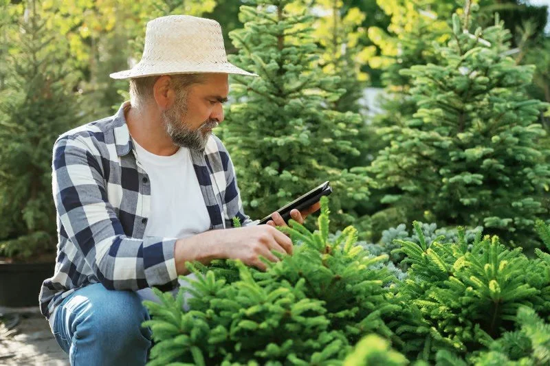 Gardener inspecting shrub health in garden