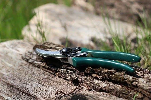Bypass Pruners: The Everyday Essential