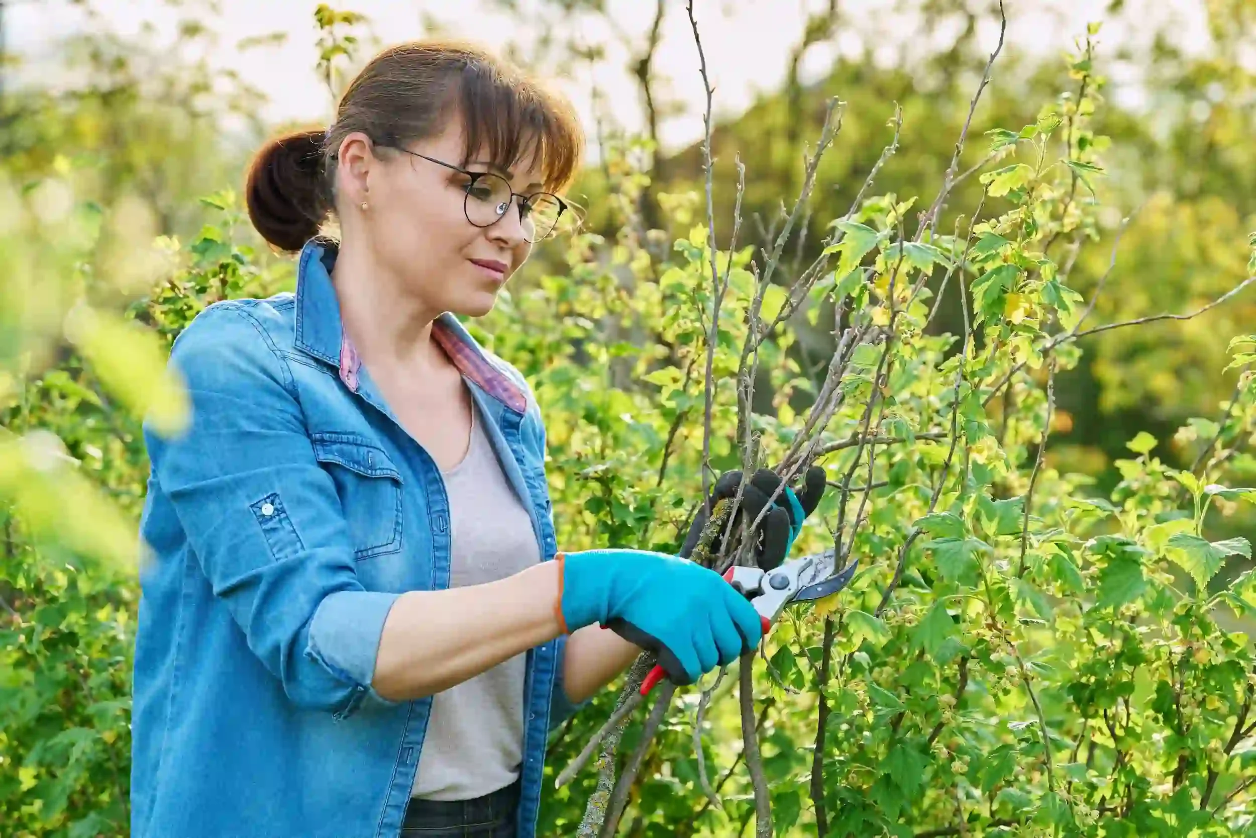women prunign shrubs