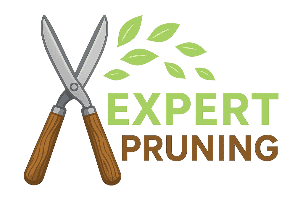 Expert Pruning