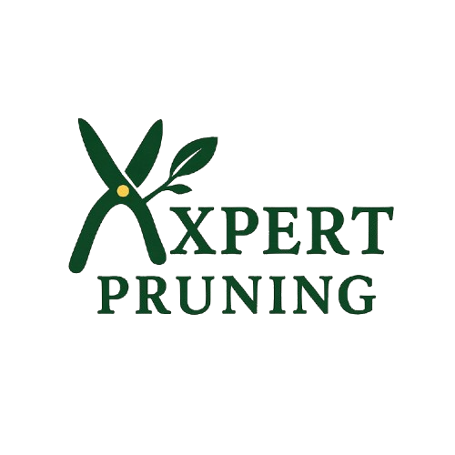 Why Choose Expert Pruning
