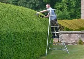 Ladders are where things go wrong