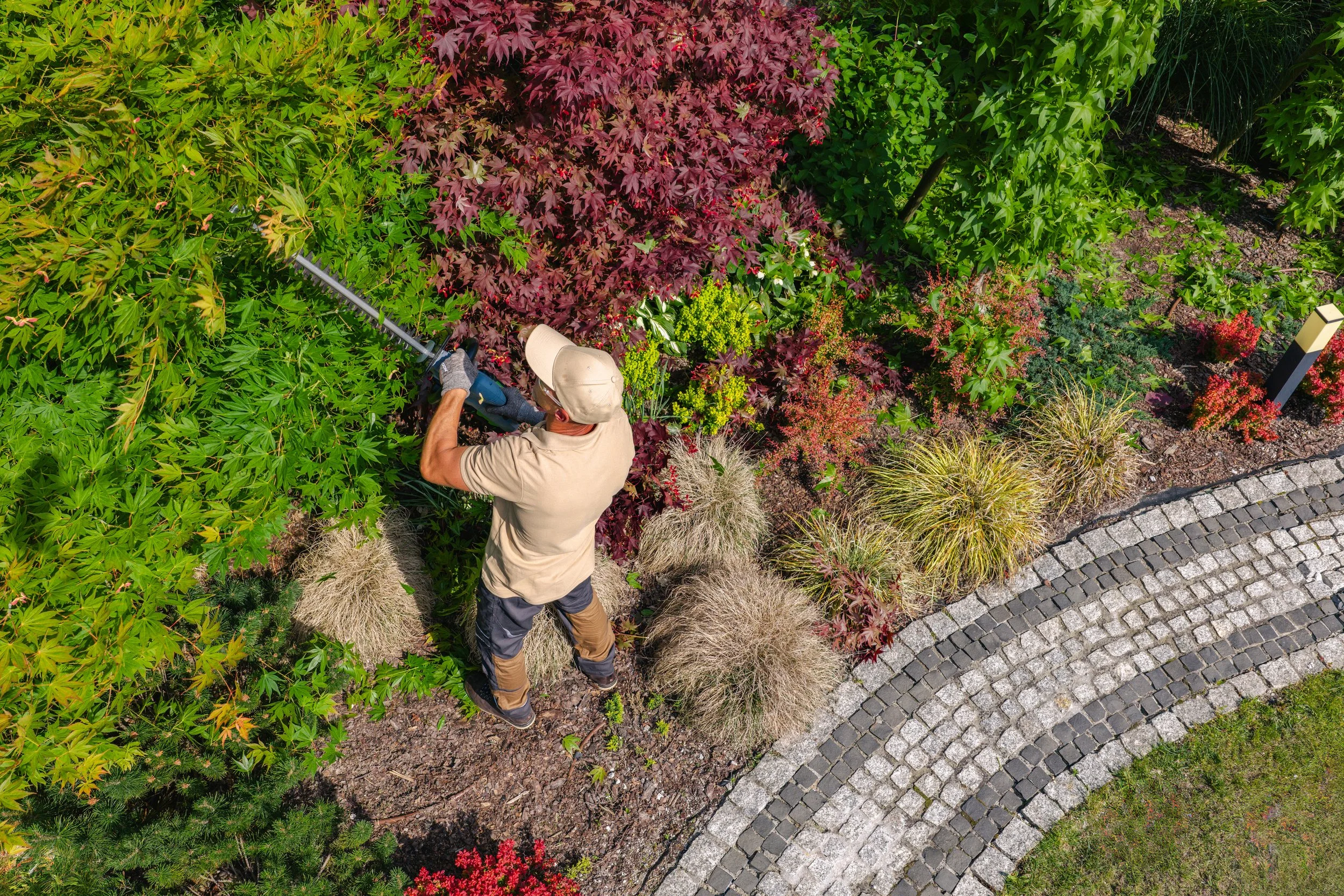 Our Team | Professional Pruning Services Portsmouth NH | Expert Pruning