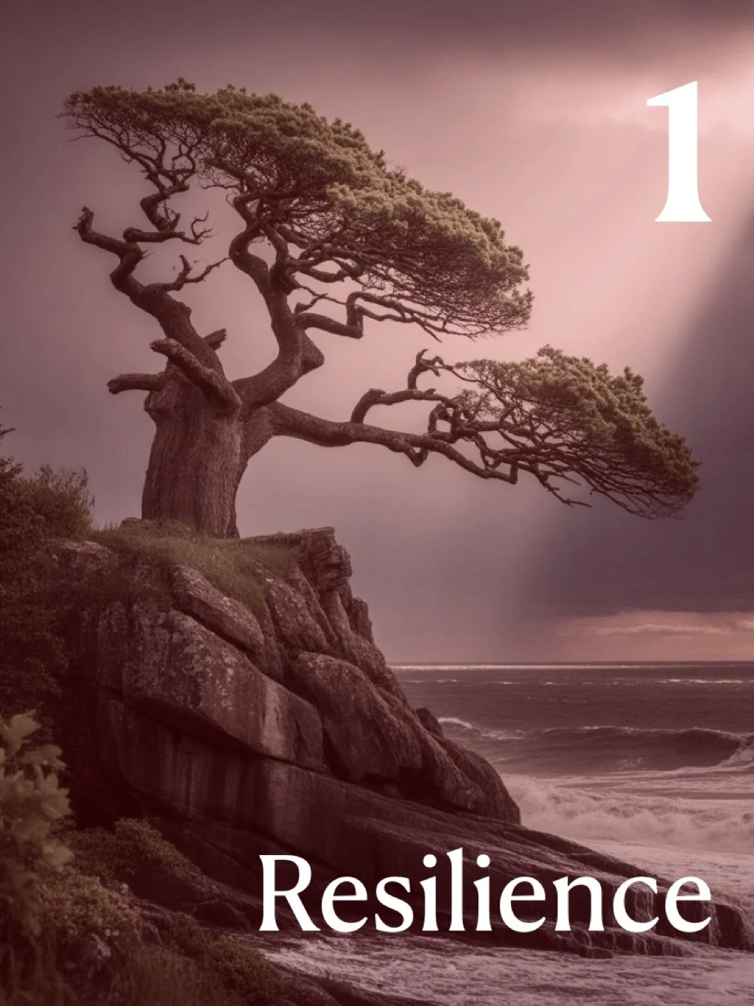 TEDxGrandviewHeights Theme Resilience