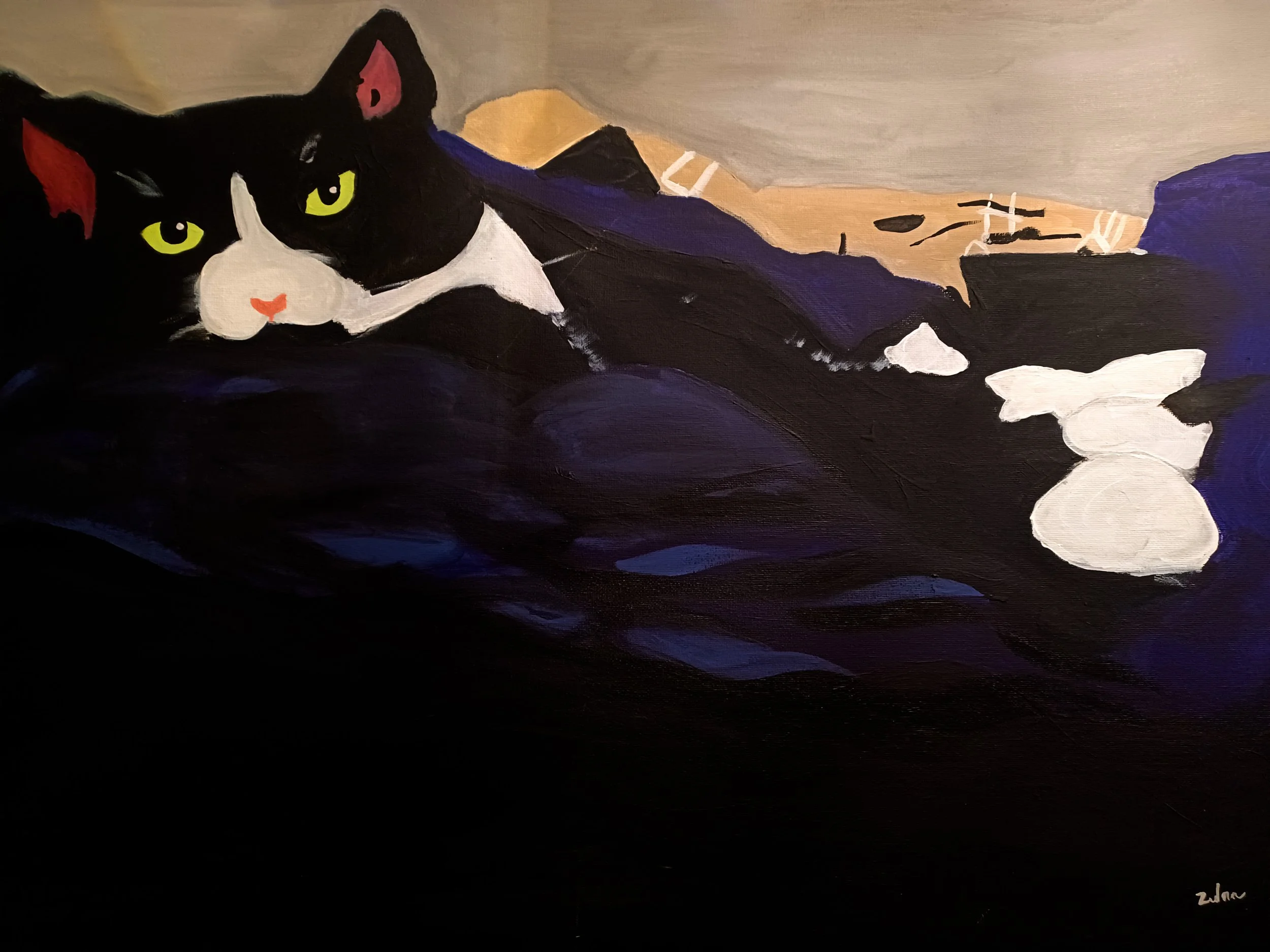 The Cat Chaos Gallery