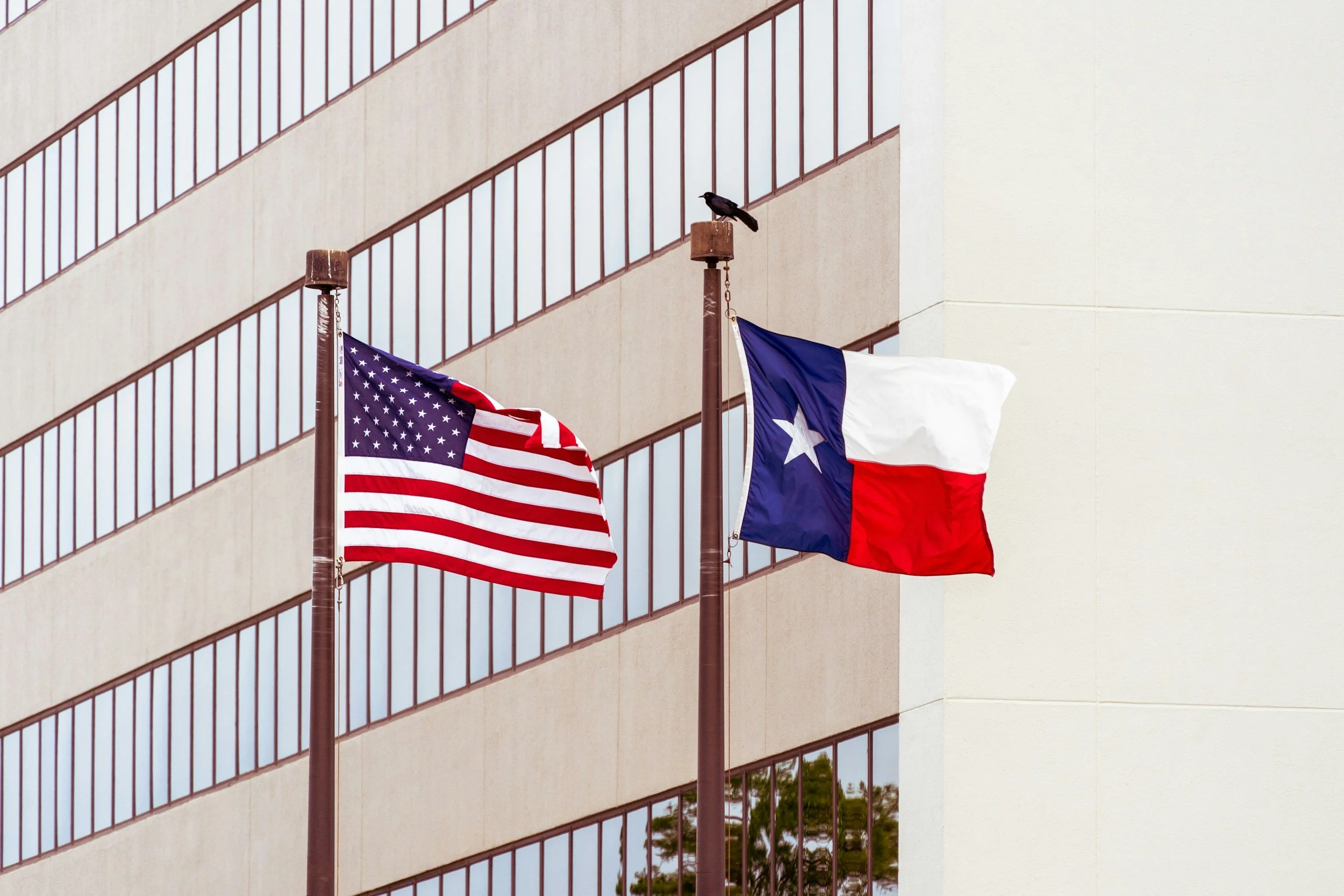 Online texas bail bonds showing the American and Texas flags
