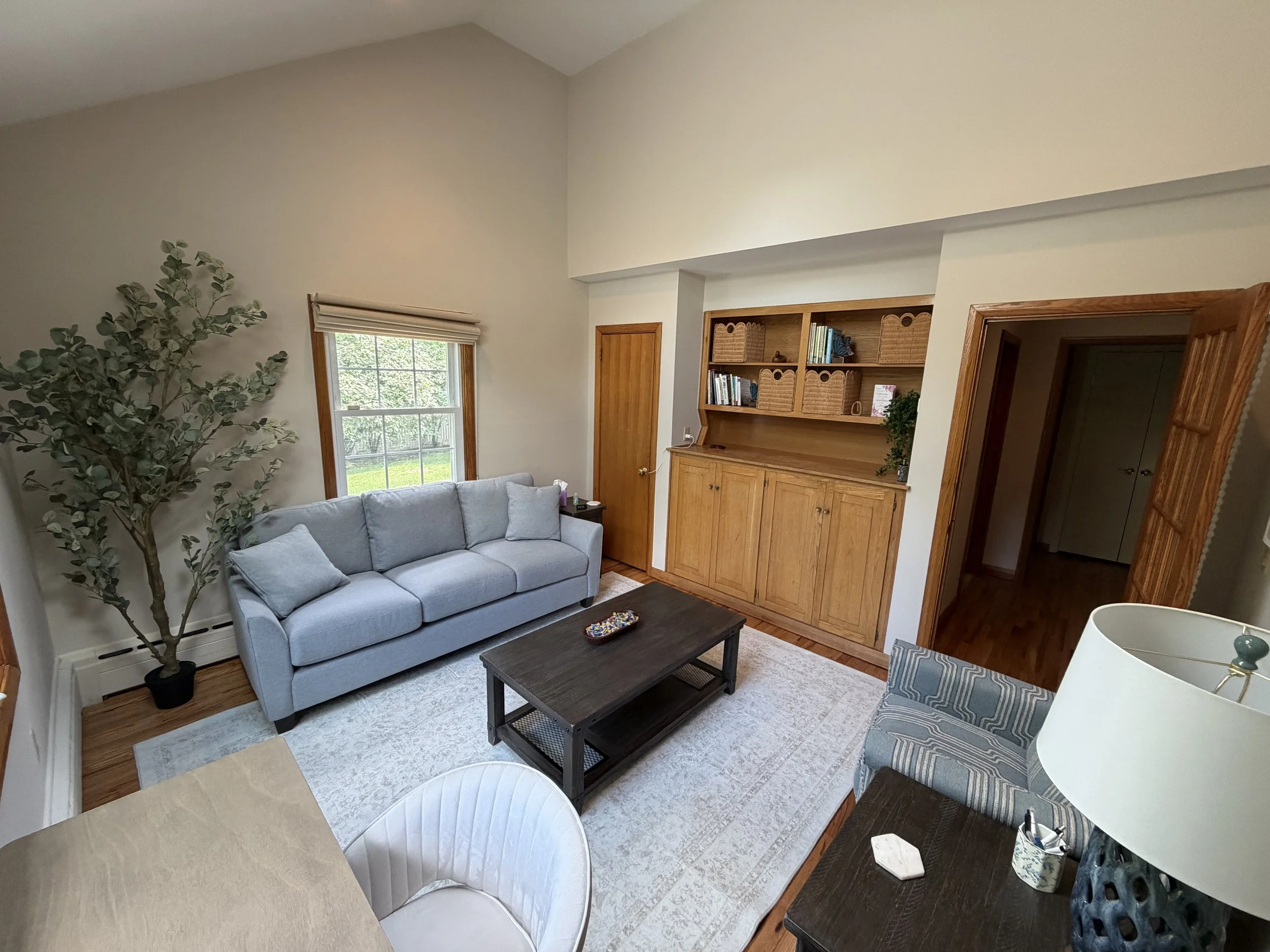 Living room with a gray sofa, a black coffee table, a white patterned rug, a wooden cabinet with shelves and baskets, a window with blinds, a tall green potted plant, a side table with books and decor, and part of an armchair with striped fabric.