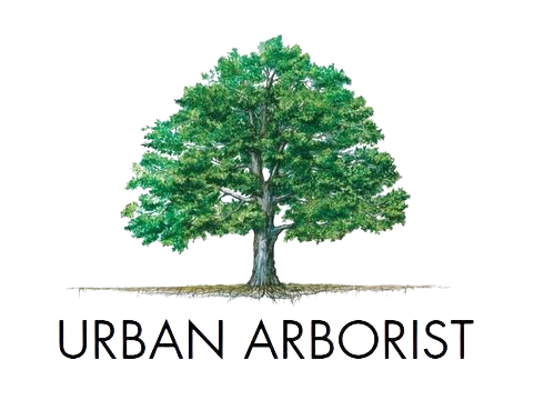 Urban Arborist