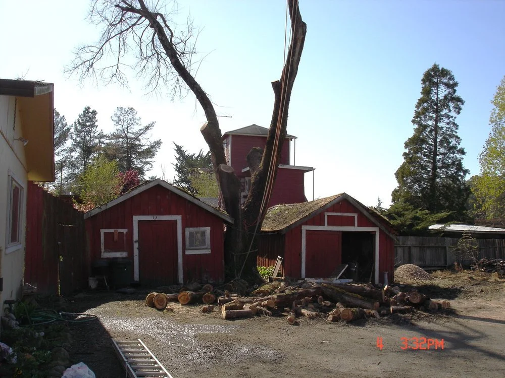 between two sheds.jpg
