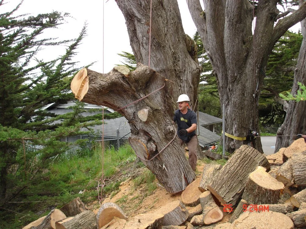 taking care of groundwork.jpg