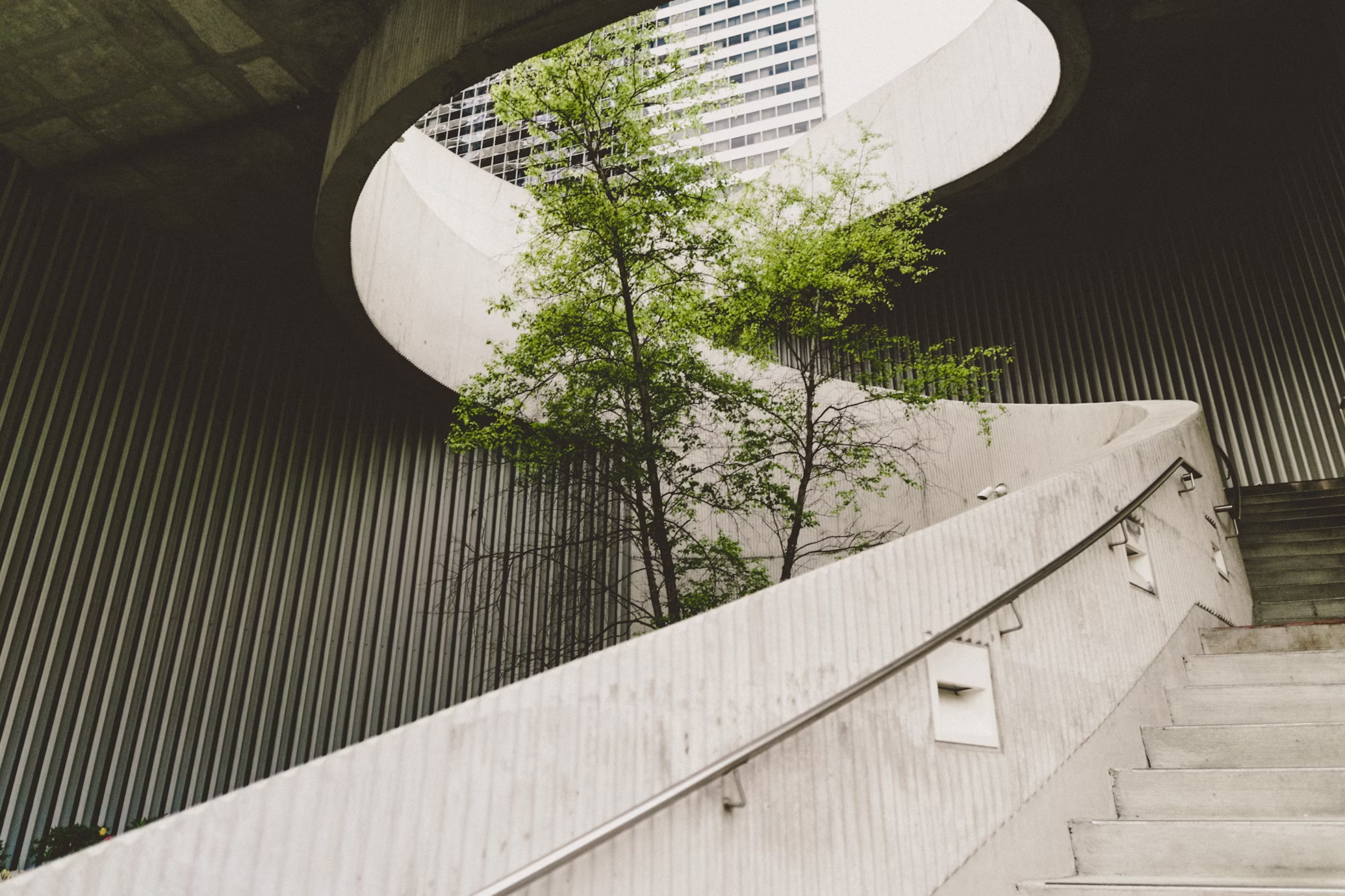 Modern architectural staircase with spiral design and greenery visible through an opening in the ceiling.