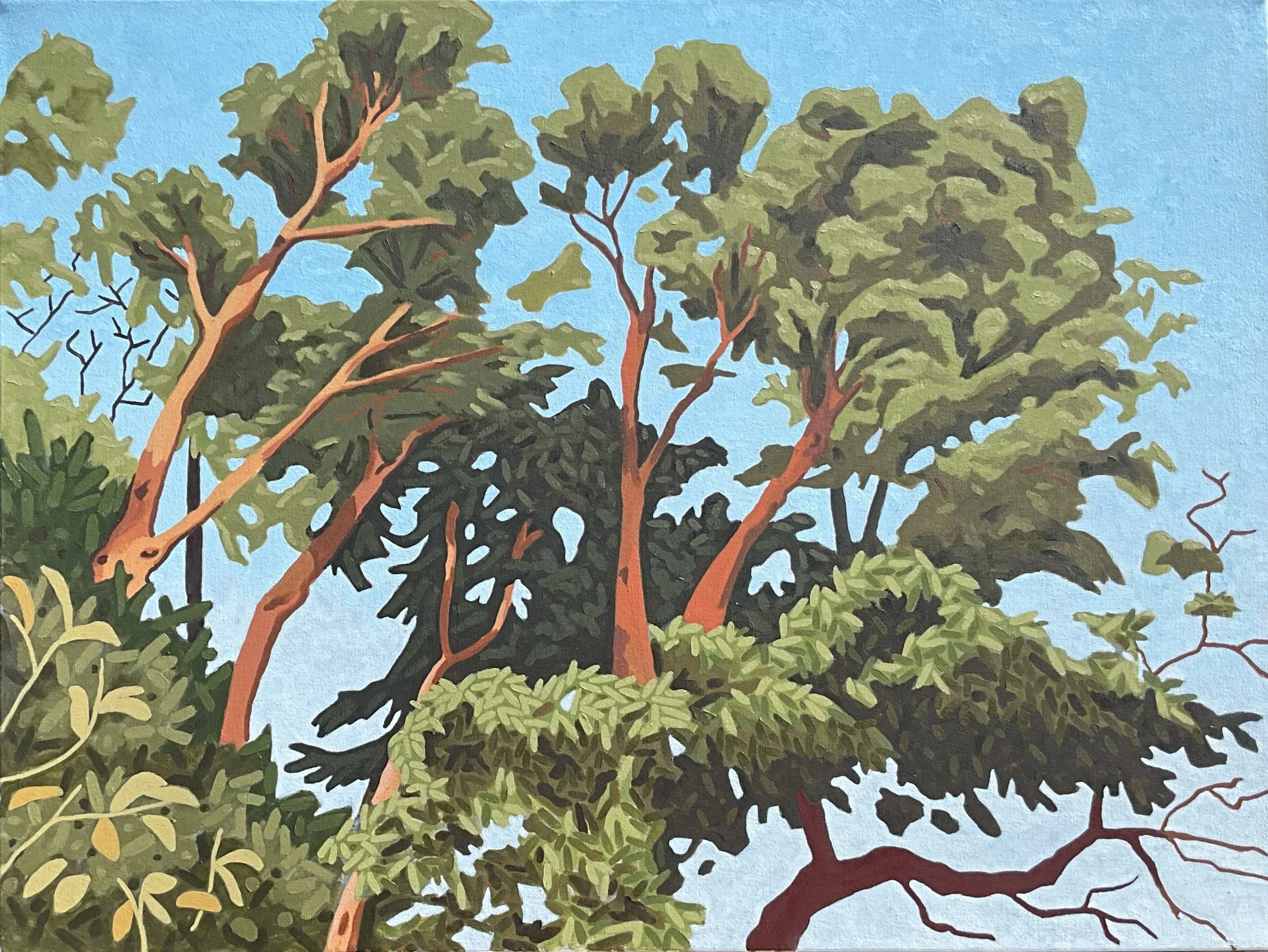 Madronas
