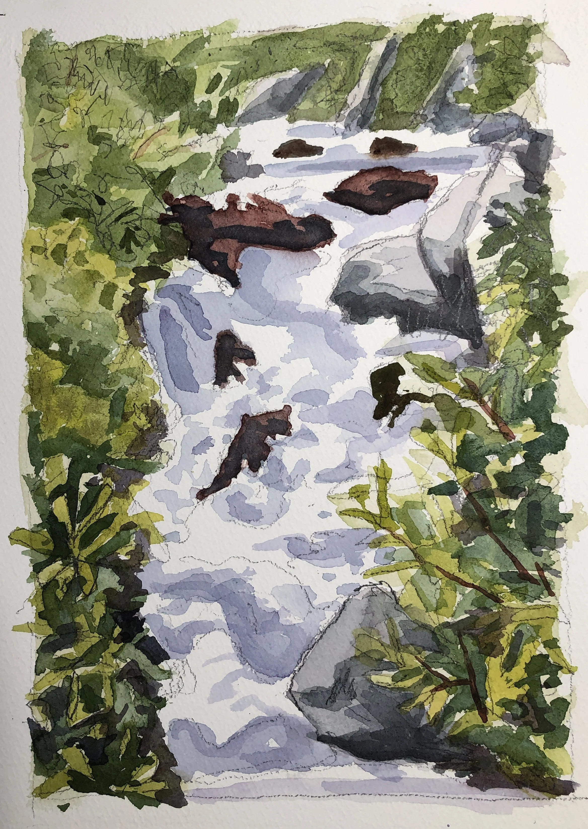 Wallowa Stream