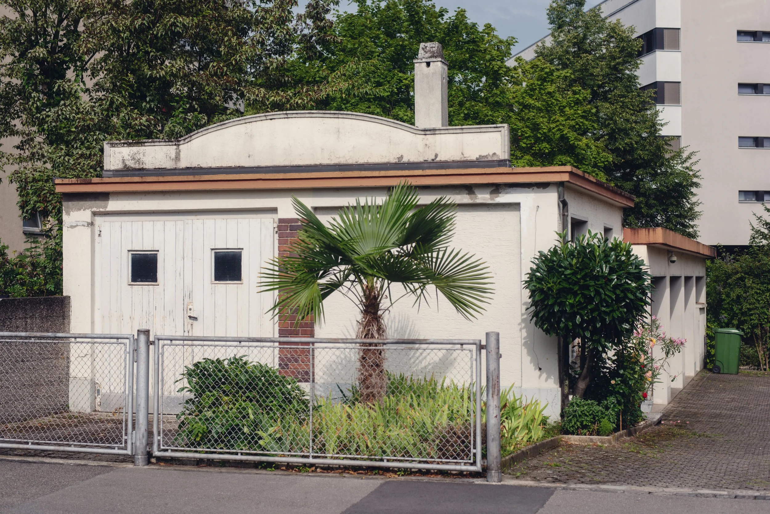  Small garage in Birsfelden with a palm tree in front of it 