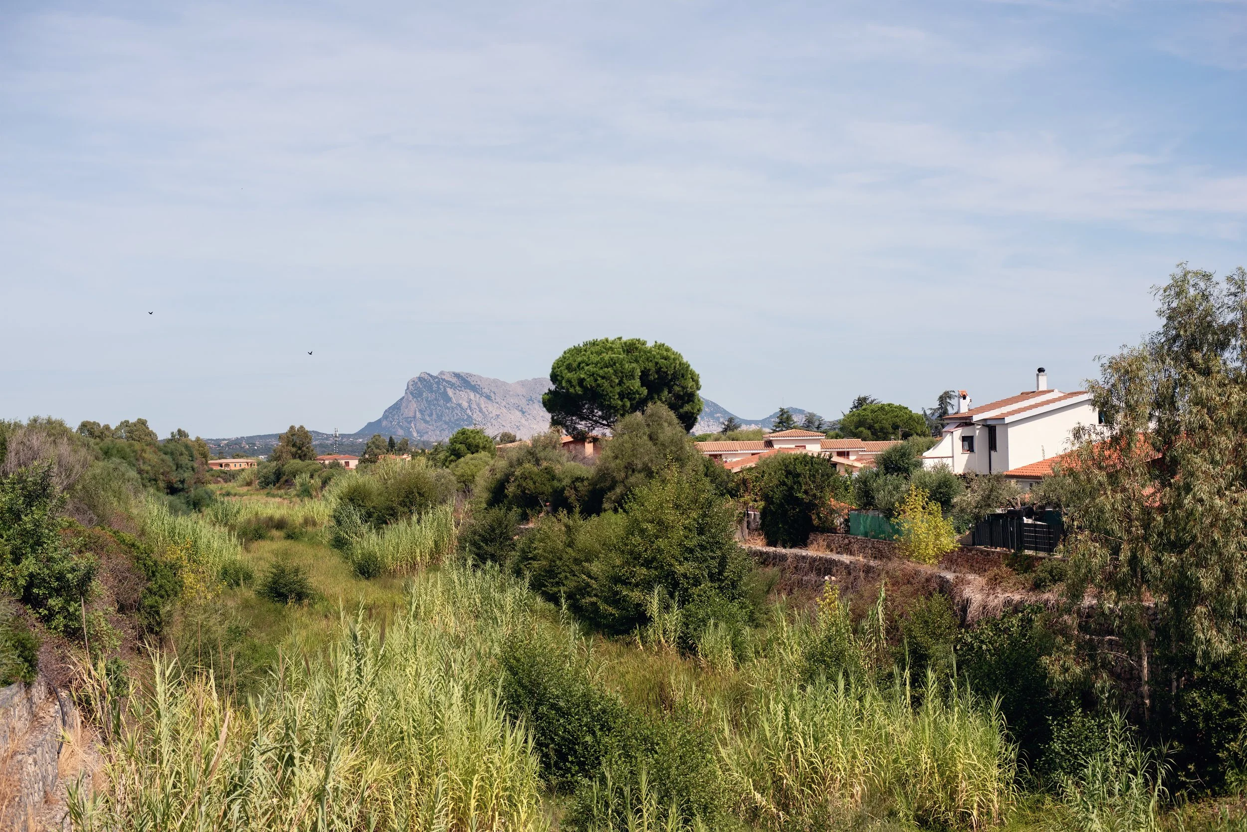  river in San Teodoro with Isola Tavolara in the background 