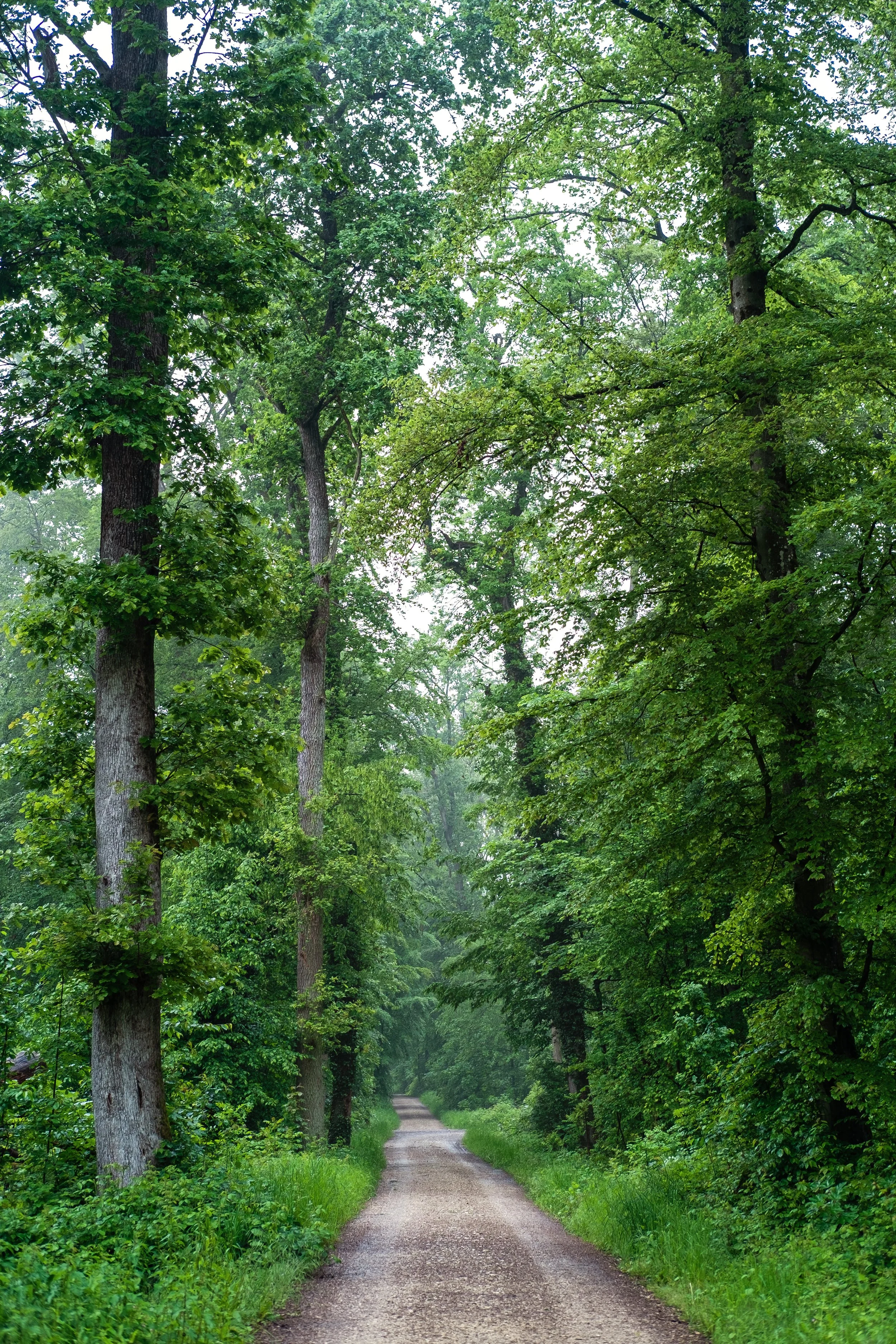 DSCF5717.jpg