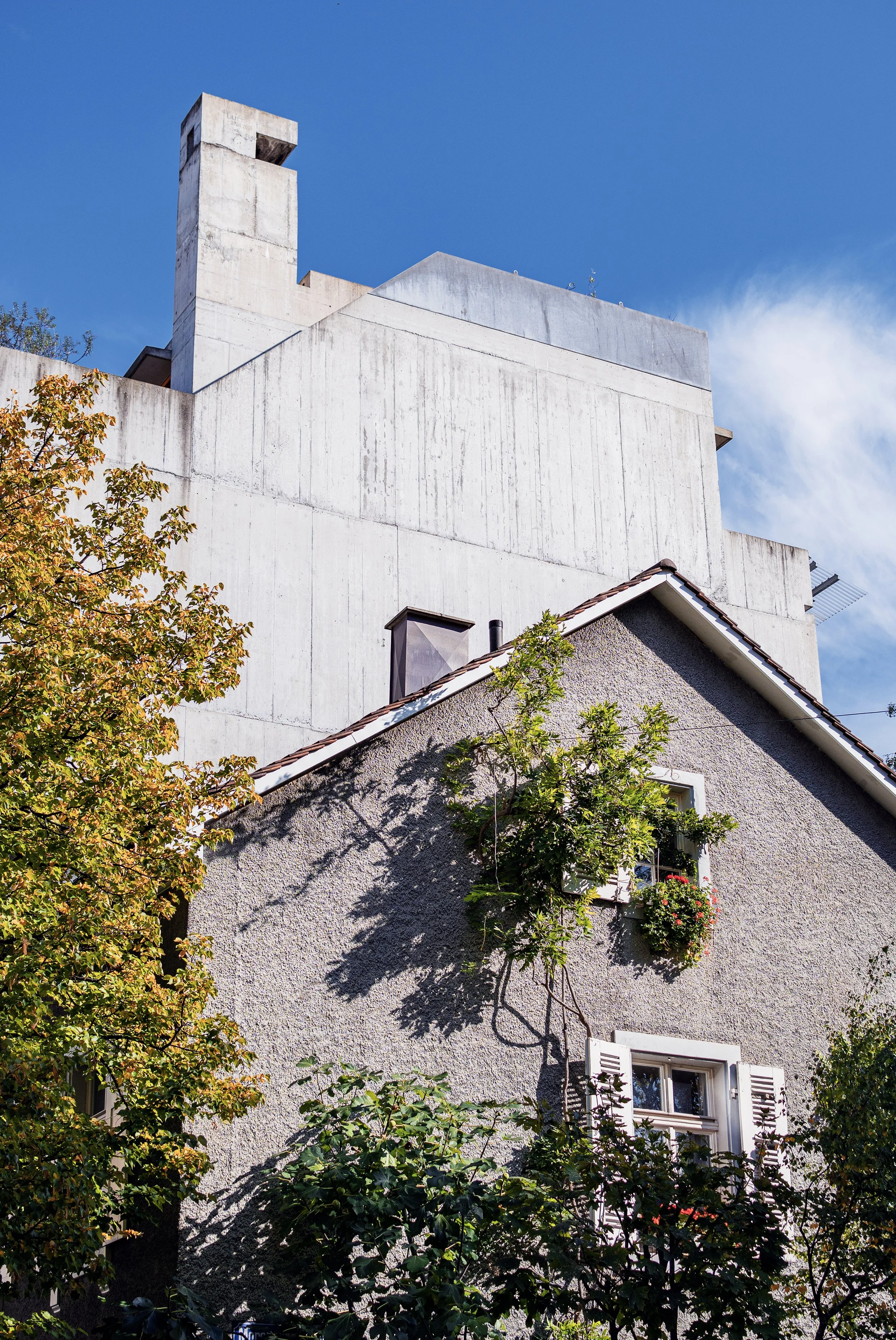 DSC_0388.jpg