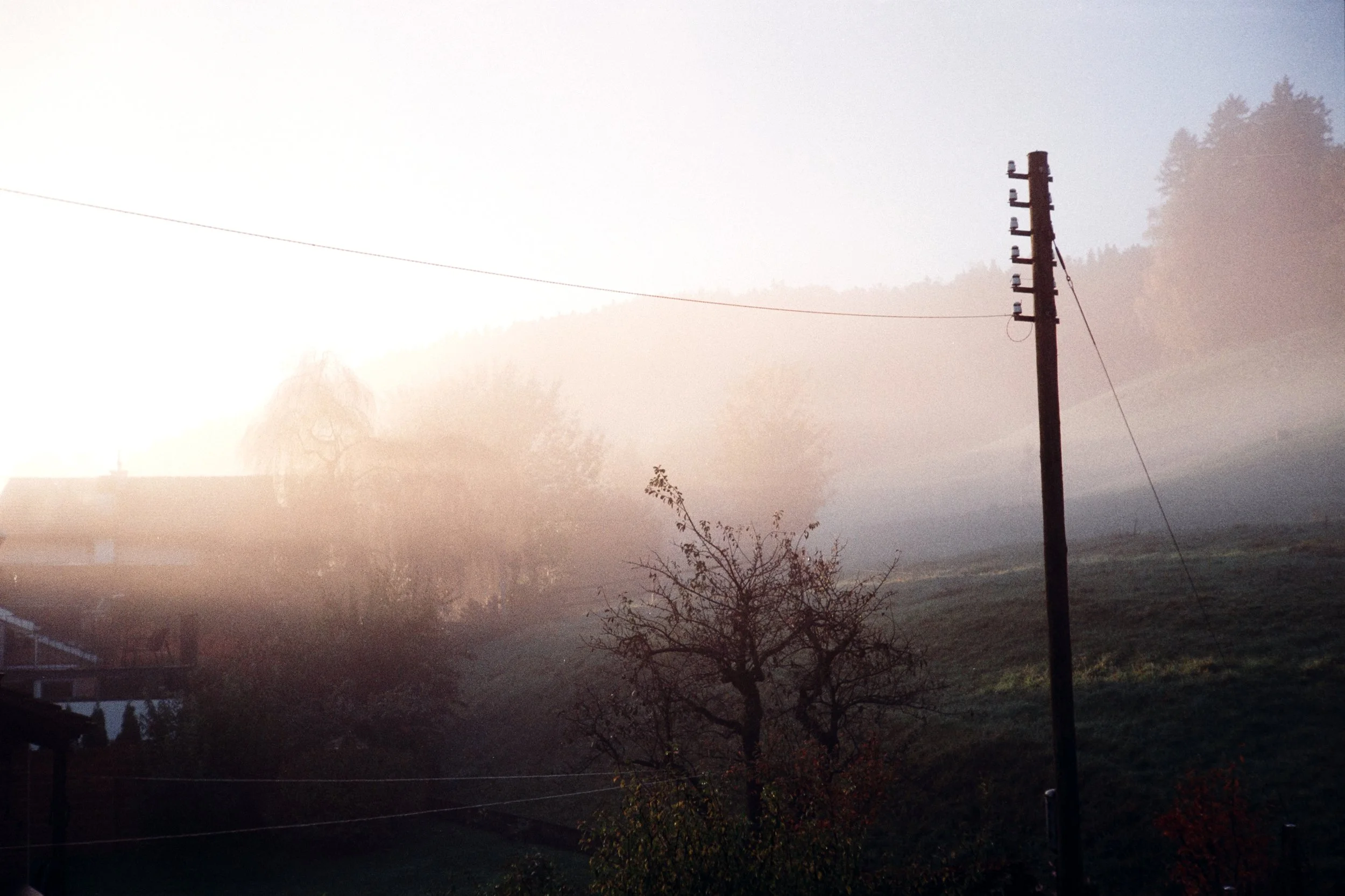 A foggy morning scene in the countryside with a utility pole, a few trees, and a hillside in the background in Oberuzwil, Switzerland.