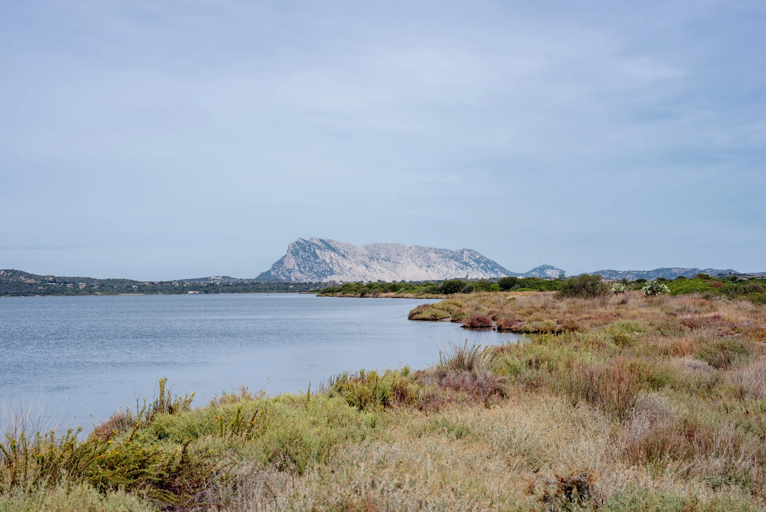 Stagno di San Teodoro and Isola Tavolara