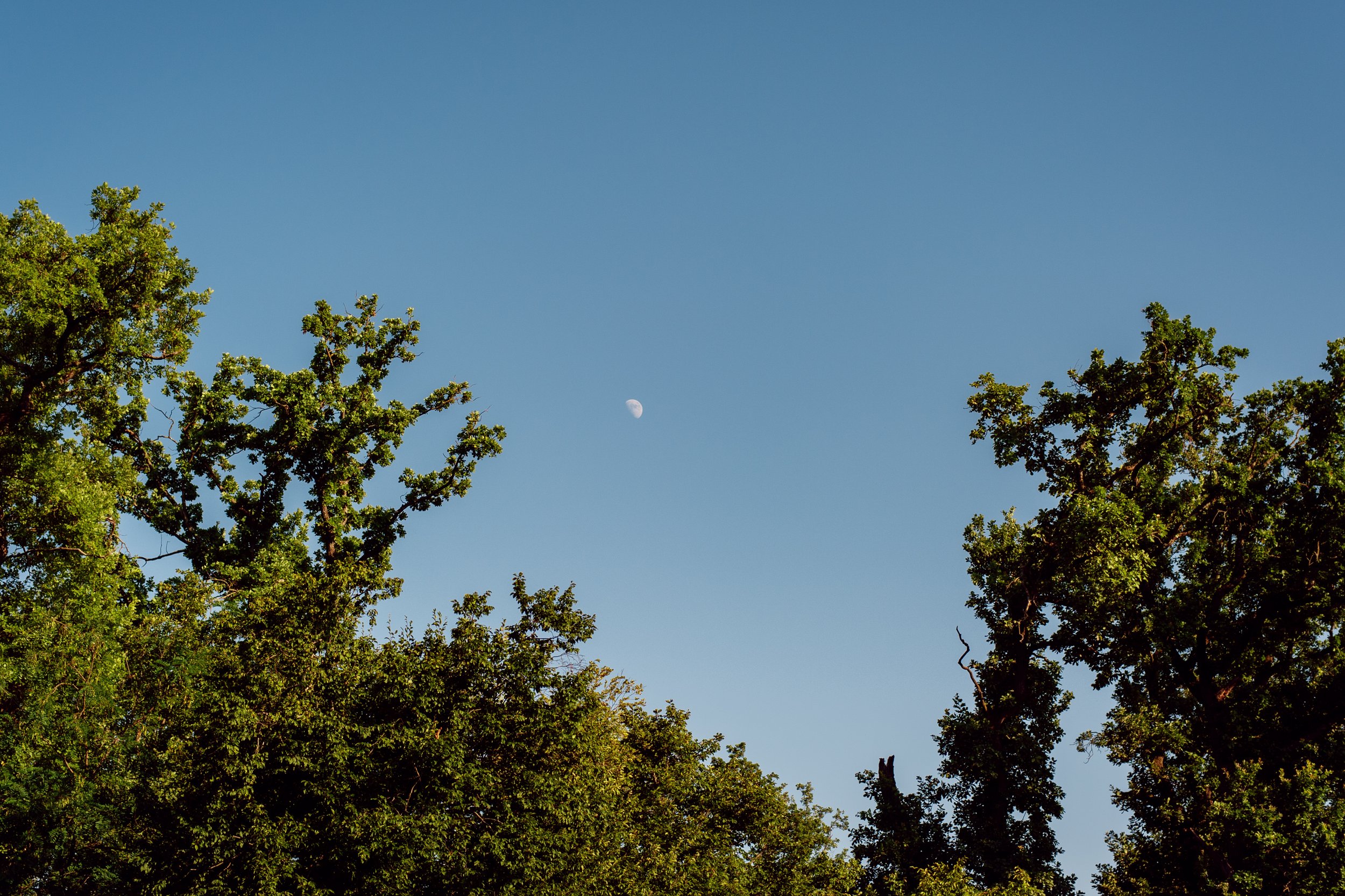 DSC_0346.jpg