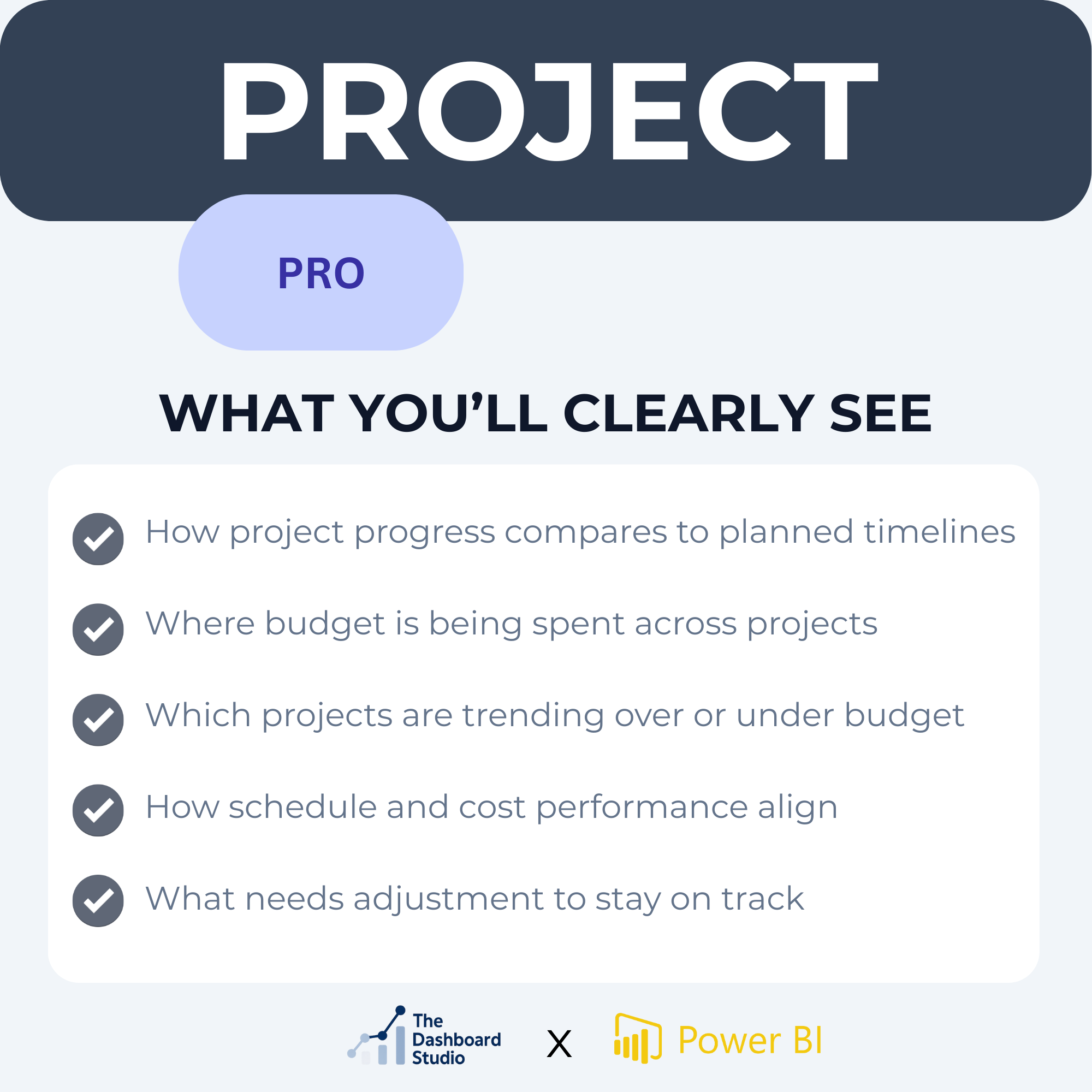 Project Pro Details.png