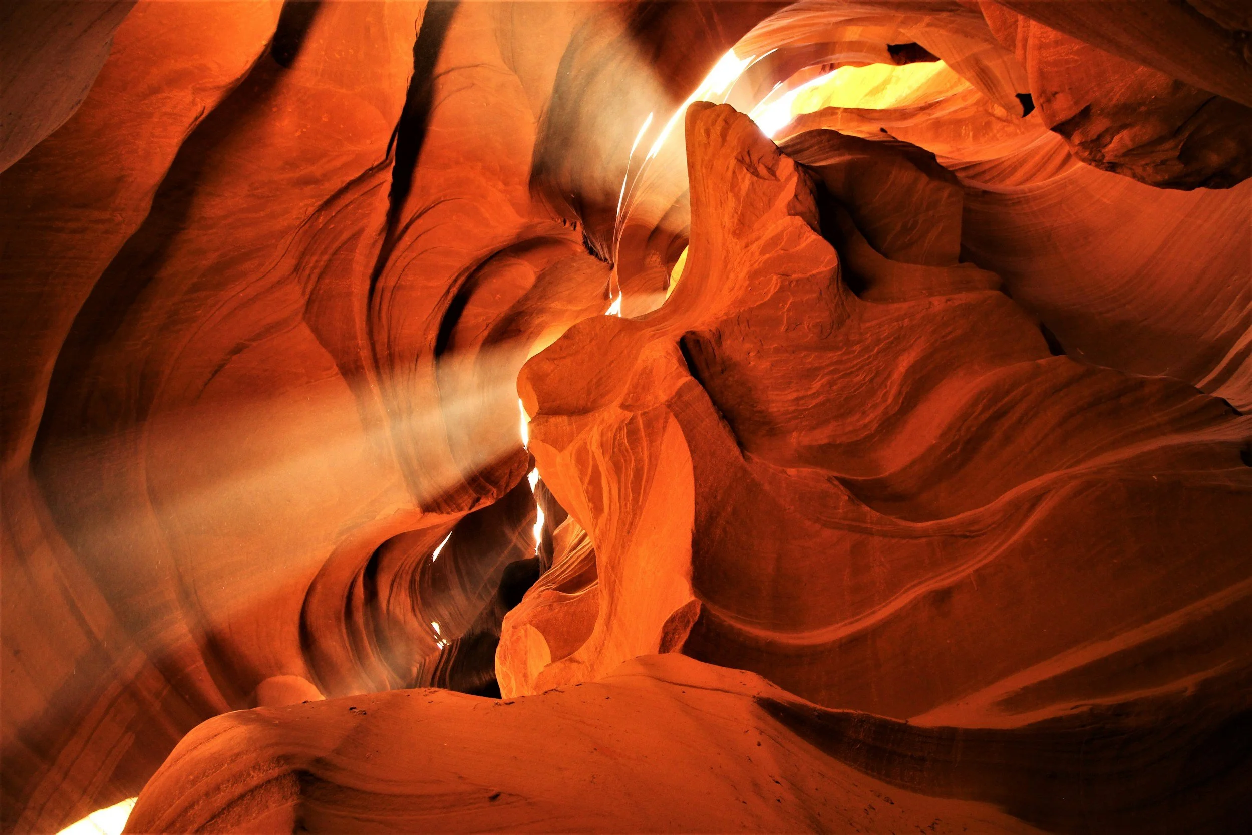 Inside a slot canyon with smooth, curved sandstone walls illuminated by sunlight filtering through narrow openings, showcasing orange and red hues.
