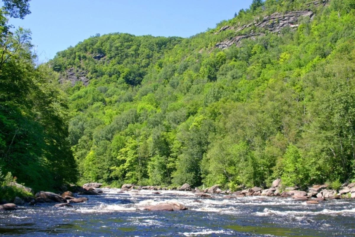The Hudson River flowing through a lush green valley surrounded by large forested hills on a sunny day.