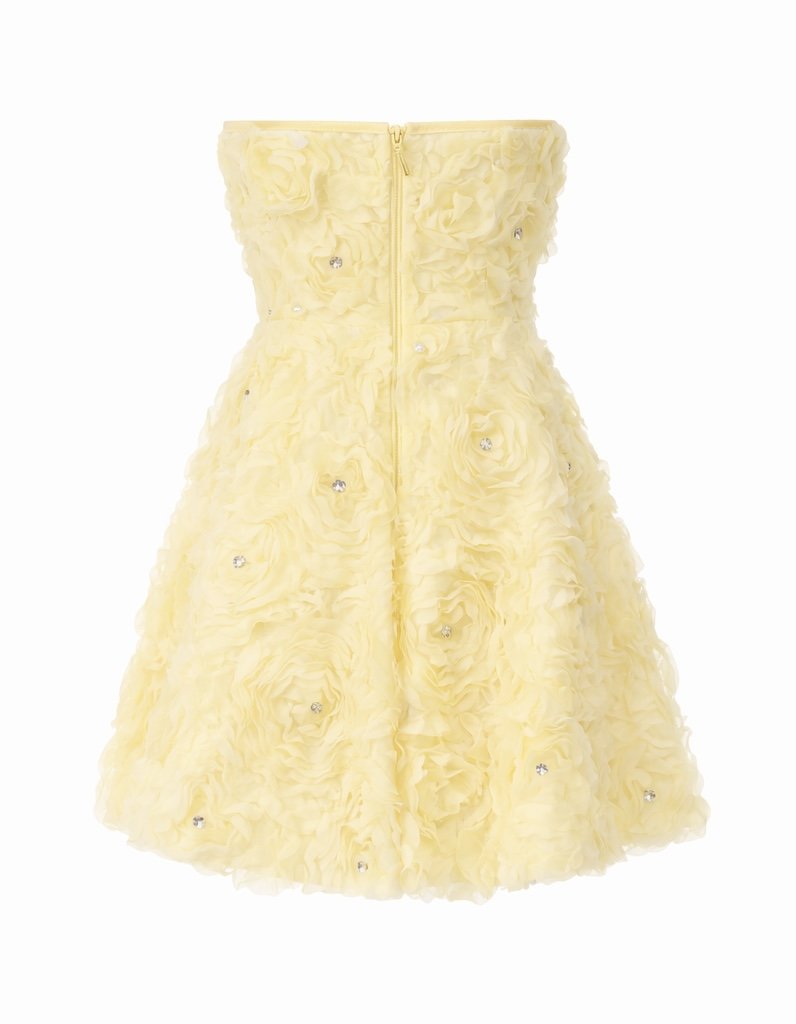 ChatGPT Image Mar 12, 2026 at 12_44_45 AM.jpg